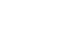 活動報告