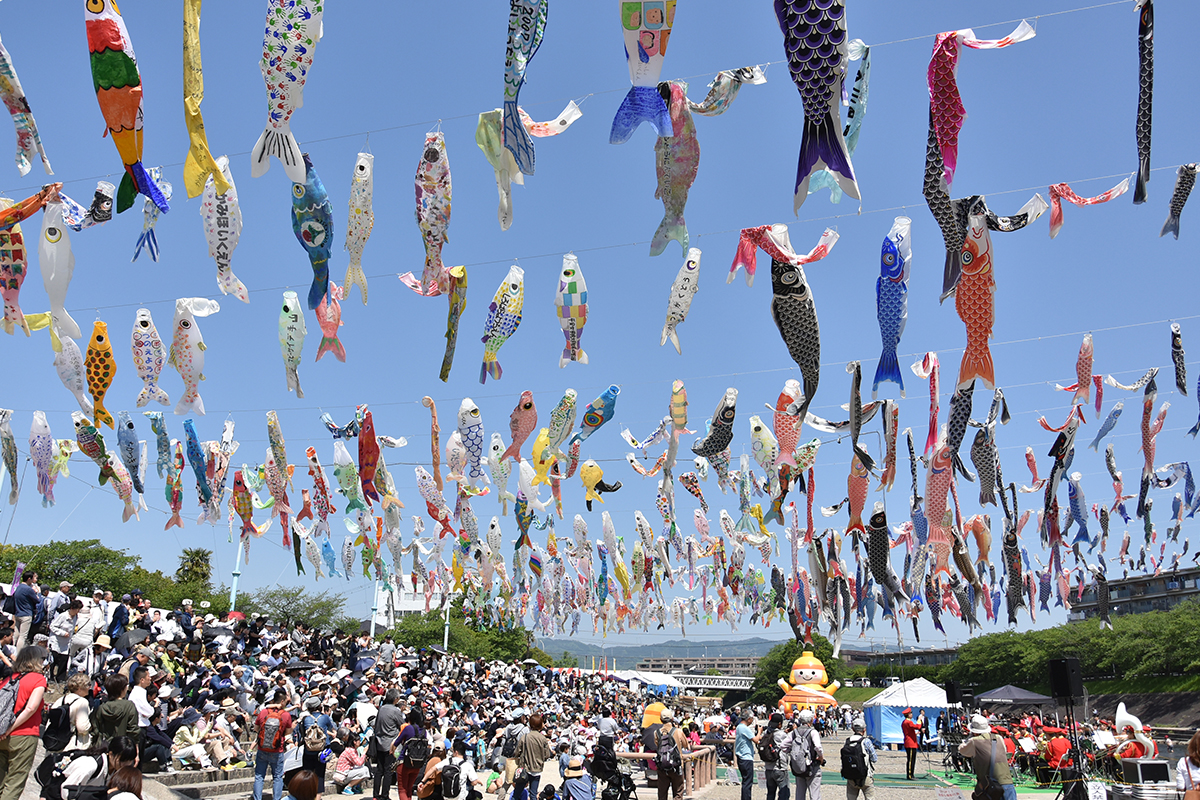 こいのぼりフェスタ1000 芥川桜堤公園 高槻市営バス