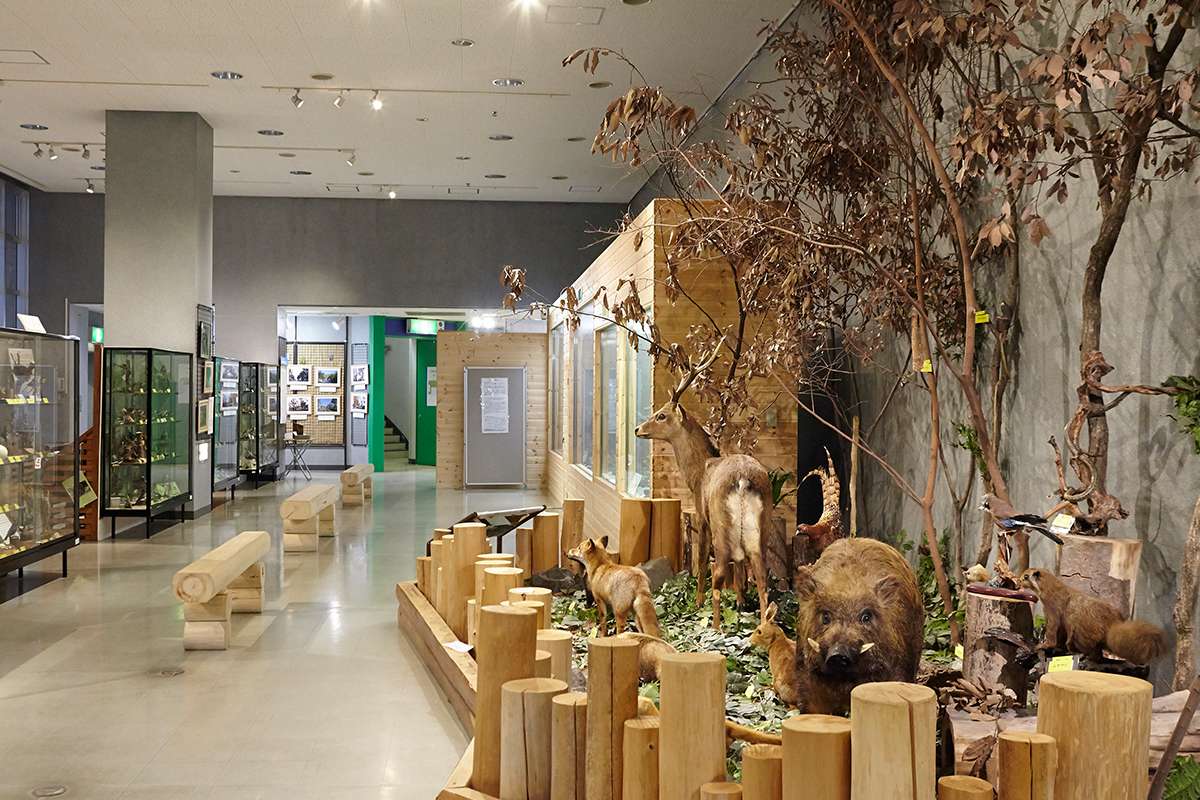高槻市立自然博物館（あくあぴあ芥川） | 高槻市営バス