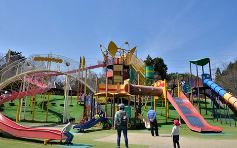 萩谷総合公園の写真