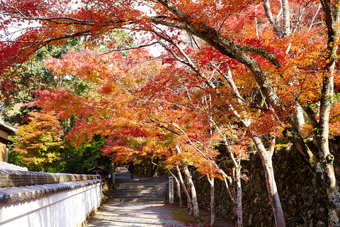 神峰山寺の紅葉の写真